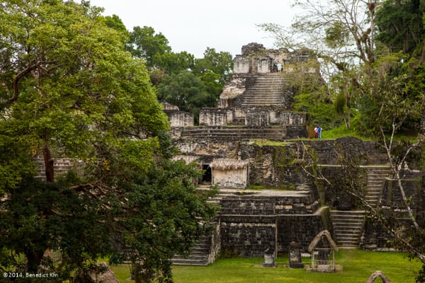 Tikal National Park Tour from San Ignacio Belize City by Pacz Tours